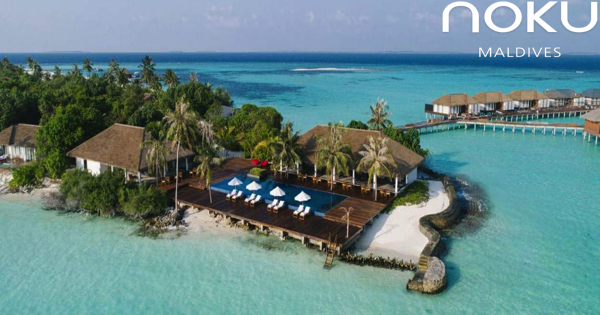 Noku Maldives Jobs | Noku Maldives Vacancies | Job Openings at Noku Maldives | Maldives Vacancies