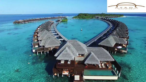 Ayada Maldives Jobs | Ayada Maldives Vacancies | Job Openings at Ayada Maldives | Maldives Vacancies