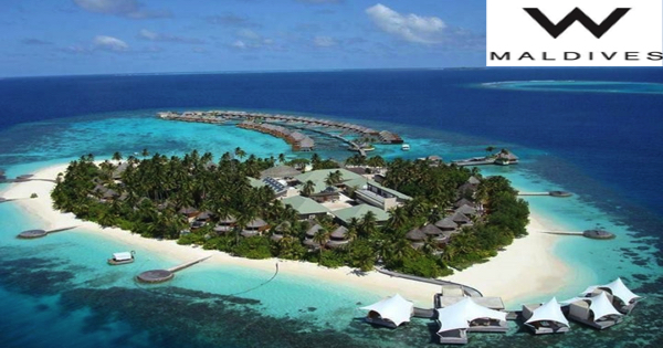 W Maldives Jobs | W Maldives Vacancies | Job Openings at W Maldives | Maldives Vacancies