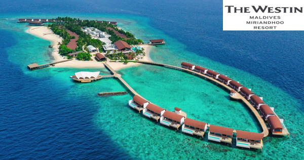 The Westin Maldives Miriandhoo Resort Jobs | The Westin Maldives Miriandhoo Resort Vacancies | Job Openings at The Westin Maldives Miriandhoo Resort | Maldives Vacancies