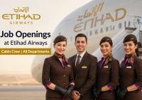 Etihad Airways Cabin Crew Jobs | Etihad Airways Cabin Crew Vacancies | Job Openings at Etihad Airways Cabin Crew | Maldives Vacancies
